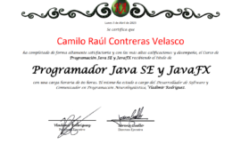 Certificación en Programación JavaSE y JavaFX - Imagen 2